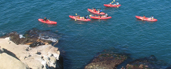 Kayak Tour of the La Jolla Ecological Reserve and Sea Caves, San Diego